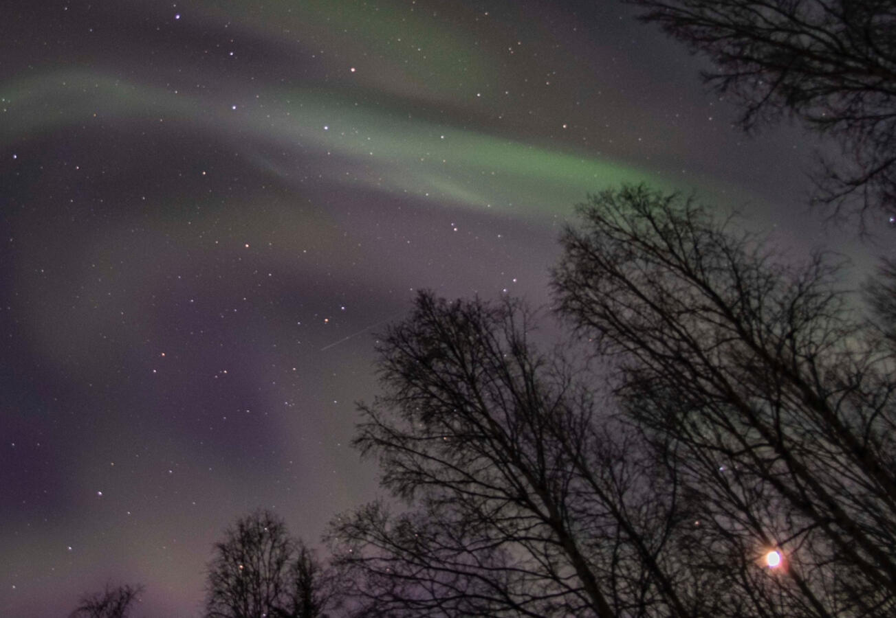 Single Guiding Light $150/ hour Single Guiding Light $150/ hour